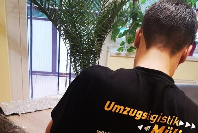 Behördenumzug Preise und Kosten Dommitzsch