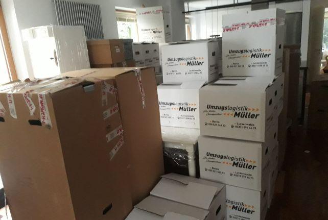 Labor Umzug preise erfahren in Dommitzsch